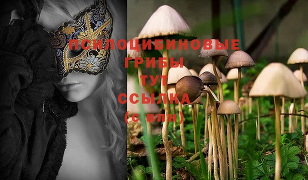MESCALINE Алзамай